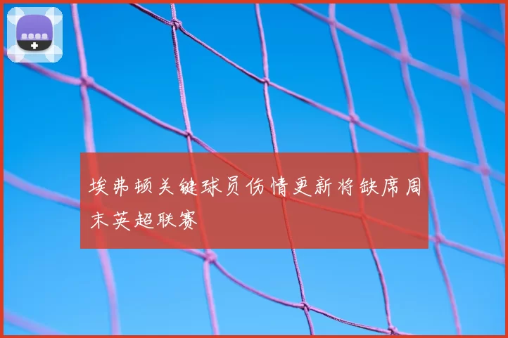 埃弗顿关键球员伤情更新将缺席周末英超联赛