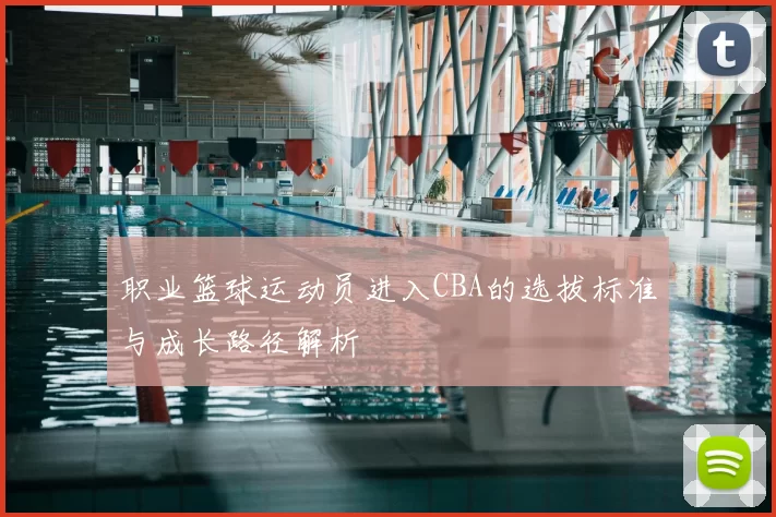 职业篮球运动员进入CBA的选拔标准与成长路径解析