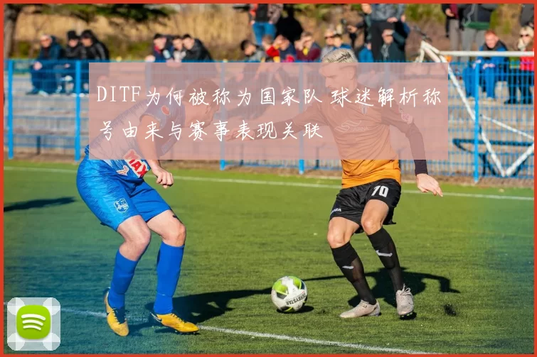 DITF为何被称为国家队 球迷解析称号由来与赛事表现关联