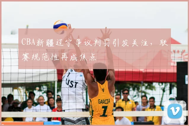 CBA新疆辽宁争议判罚引发关注，联赛规范性再成焦点